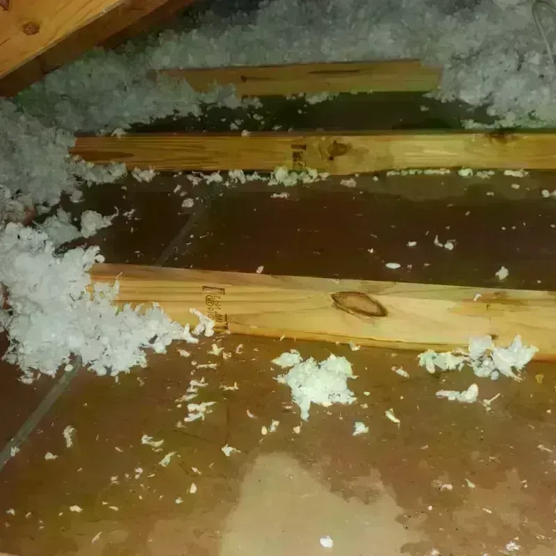 Attic Water Damage in Granite, UT