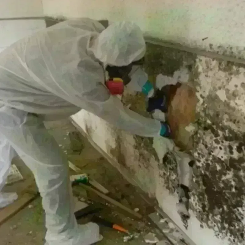 Mold Remediation and Removal in Granite, UT